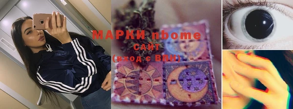 прущие грибы Белоозёрский