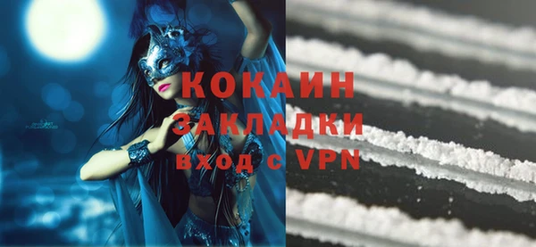 прущие грибы Белоозёрский