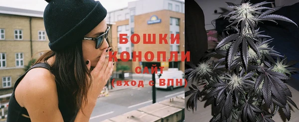 прущие грибы Белоозёрский