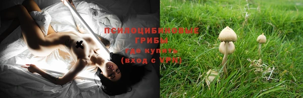 прущие грибы Белоозёрский