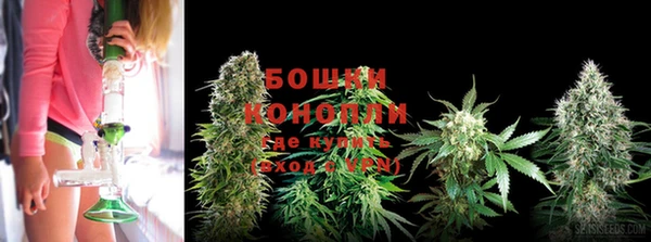 прущие грибы Белоозёрский