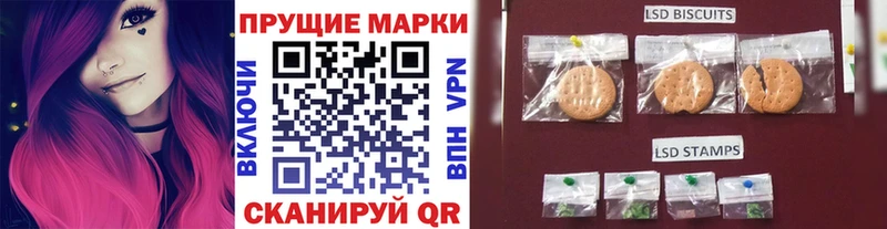 Марки N-bome 1,8мг  darknet как зайти  Красный Сулин 