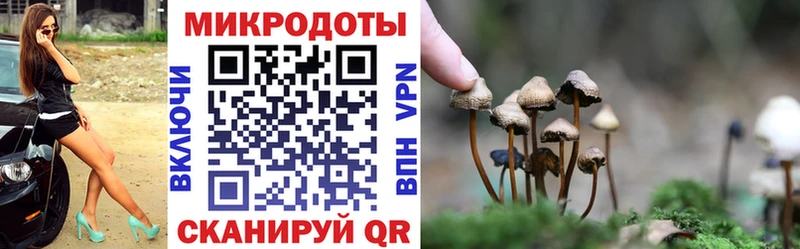 Галлюциногенные грибы Cubensis  купить наркоту  Красный Сулин 